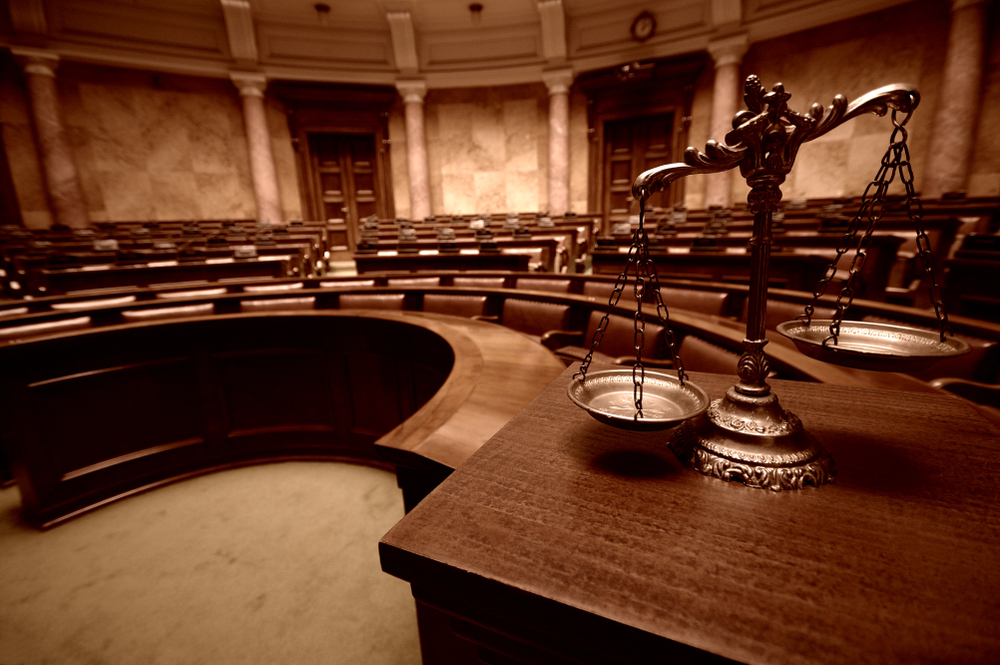 Litigation and Legal Representation Services